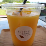 킨코이모 코우보우 우에다 쇼우텐 토우다이 카페 - 맛있는 오렌지 주스