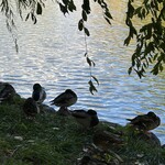 &PAN MARKET and BAKERY - 