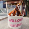 WILLOWS NURSERY