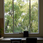 cocoo cafe - 大きな窓からの緑に癒されて･･･