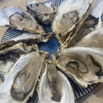 かきのおきて - 牡蠣　