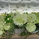 リルミルフィー - 