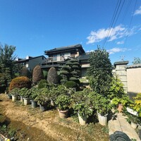 restaurant KAM﻿ - 