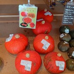 道の駅ましこ - 