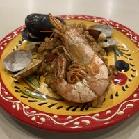 anchoa - 