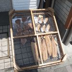 鮮魚・お食事処 山正 - 