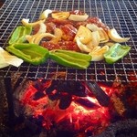 らくだ山 地鶏の店 - 