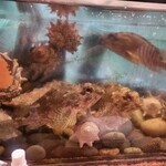 四季の味・奴 - 