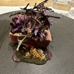 シャントレル - 