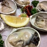Specially selected raw oysters from Akkeshi