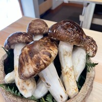 柚木元 - 