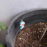 お料理 ちゃとら - 