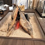 とろさば料理専門店 SABAR - 