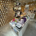Lattendaily - 