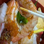 若松食堂 - 赤エビ