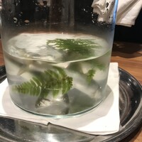 ル スプートニク - 