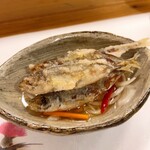 穴子料理と地酒 浅草 川井 - 