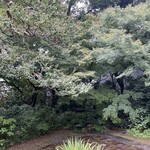 ぼうず'n coffee - 