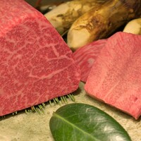 USHIGORO S. NISHIAZABU - 