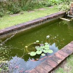 レールサクレ - サカナもいるよ。最高かよ。