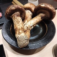 奥 - 
