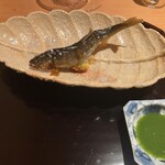御料理ふじ居 - 子持ち鮎