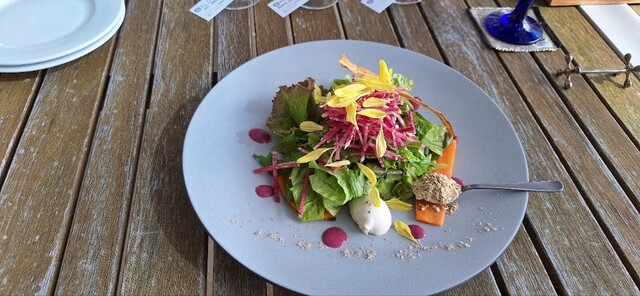 ピノ・コッリーナ ファームガーデン&ワイナリー松ケ岡（PINO COLLINA） - 鶴岡（フレンチ）の写真