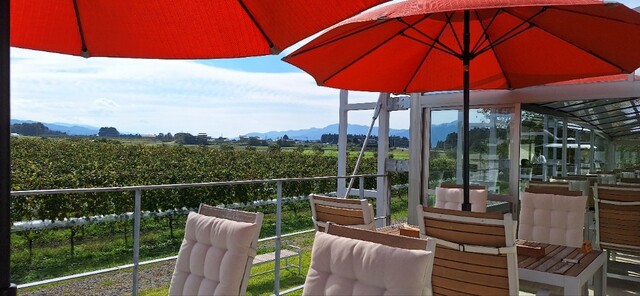 ピノ・コッリーナ ファームガーデン&ワイナリー松ケ岡（PINO COLLINA） - 鶴岡（フレンチ）の写真