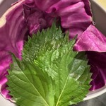 PRETTY PORK FACTORY & KATSUプリポー - 