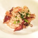 ＤＯＬＣＥＴＴＯ - 