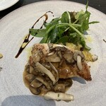 ノガラッツァ - 