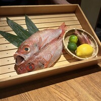 のどぐろの中俣 新橋 - 