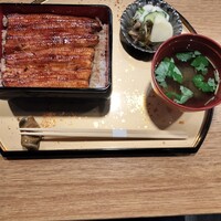 うなぎ 目白ぞろ芽 - 
