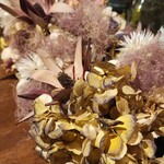 Lecoin キタサンドウ - 