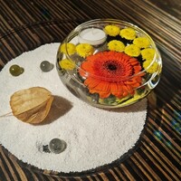 常春 - 