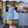 産直ミルク - 