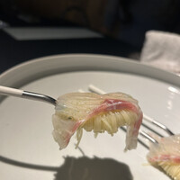 セルサルサーレ - 