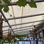 高橋フルーツランド - 