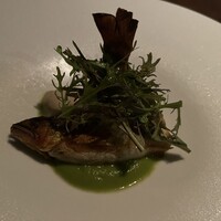 TRATTORIA CREATTA - 