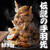 居酒屋革命 酔っ手羽 - 料理写真: