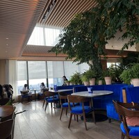 The Blue Room - 