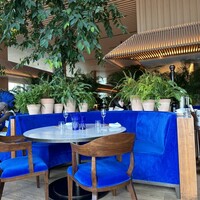 The Blue Room - 