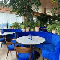 The Blue Room - 