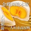 金蝶園総本家 大垣駅前本店
