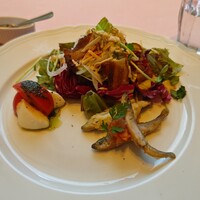 La Terrazza SABATINI - 