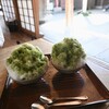 団五郎茶屋