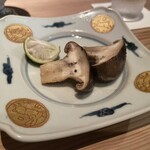 鳥光 - 京都本しめじ