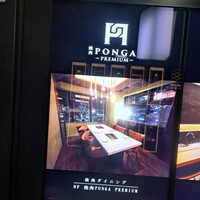 PONGA PREMIUM - 