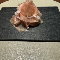 スガラボヴィー - 