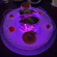 スミレオオサカ - 